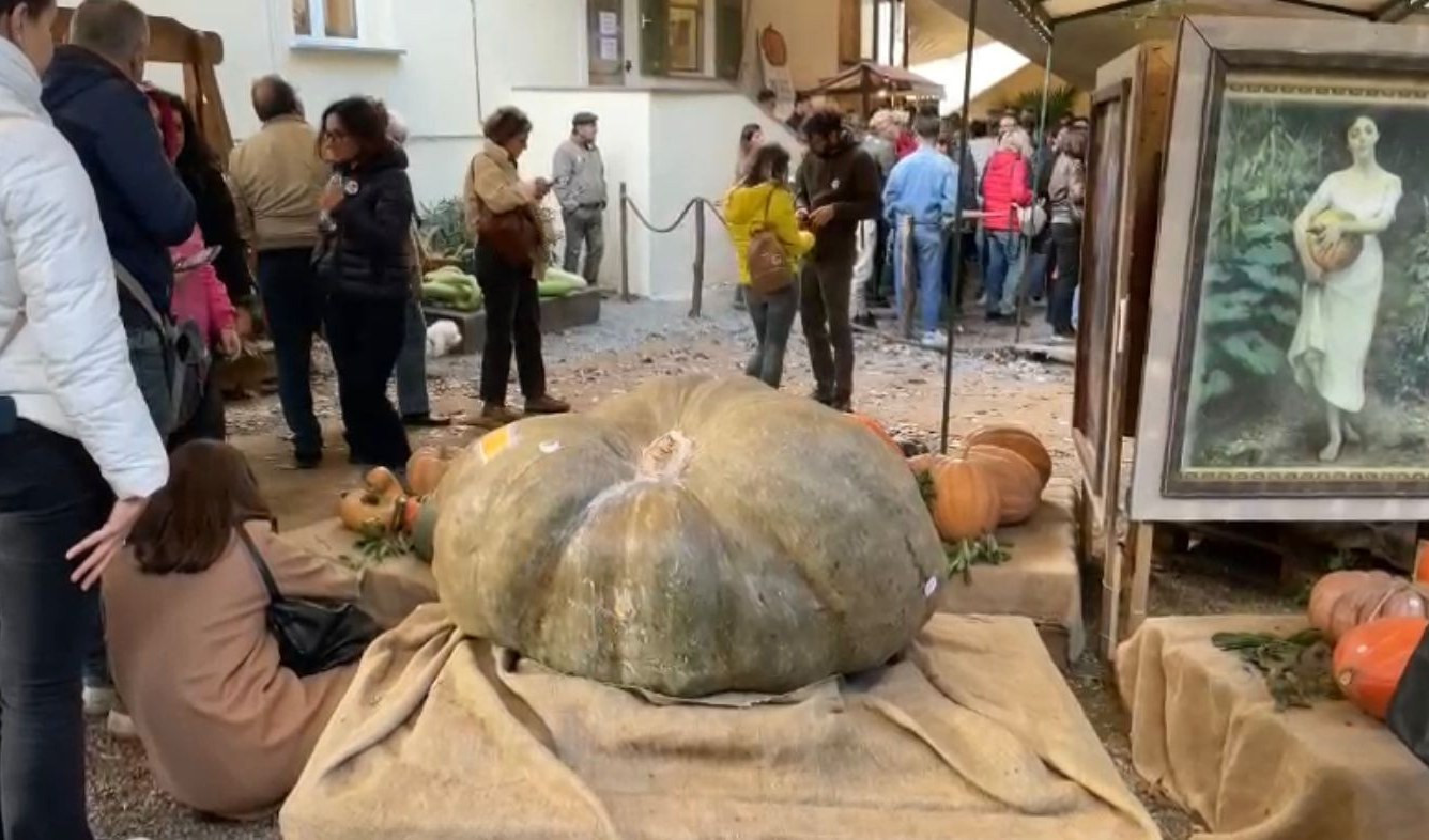 Genova, non solo la zucca: Murta tra il Doge e Mazzini  