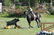 Ottimi risultati per cavalli e fantini liguri