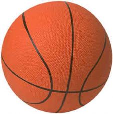 Torneo di minibasket a Lerici