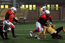 Tornano in campo i Predatori