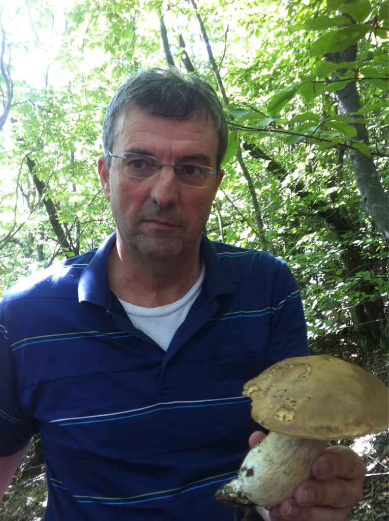 Burlando a funghi 