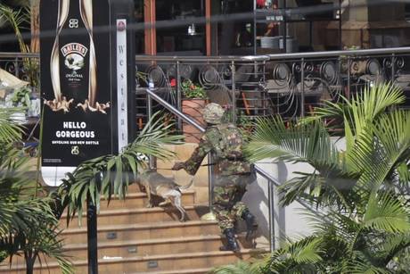 Kenya, esercito: liberati molti ostaggi