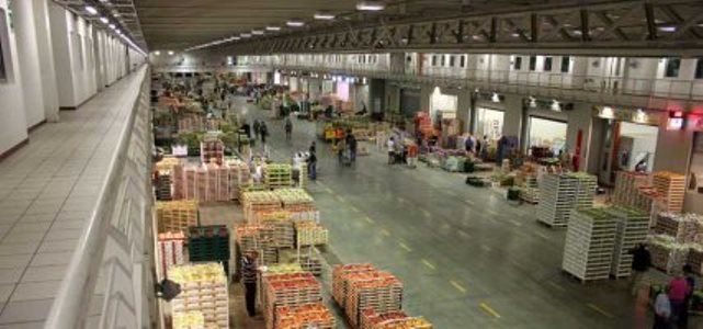Senza stipendi da mesi: scioperano i lavoratori di Tnt e Coop Burlando