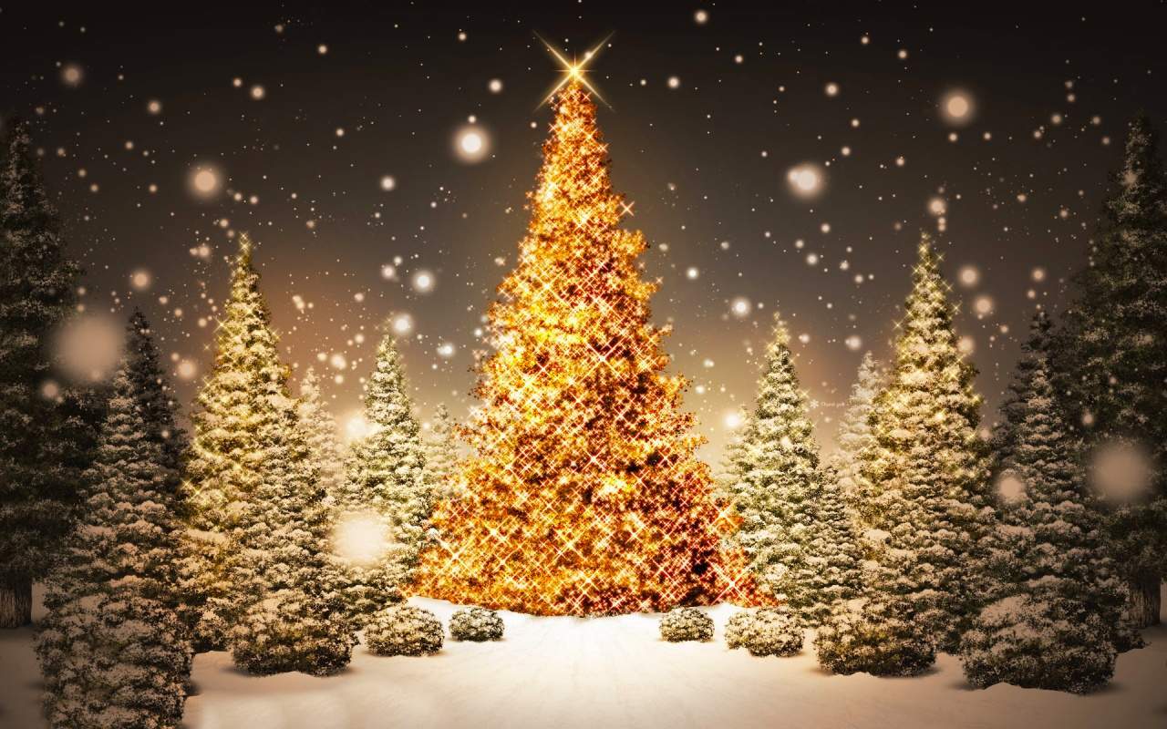 Tanti auguri di buon Natale dalla redazione di Primocanale