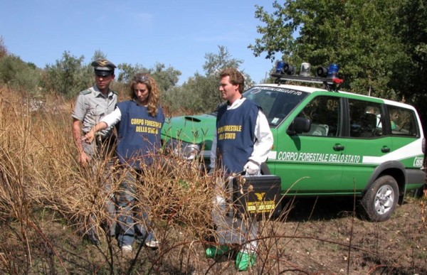 Costruisce piazzale abusivo e provoca frane:denunciato da Forestale