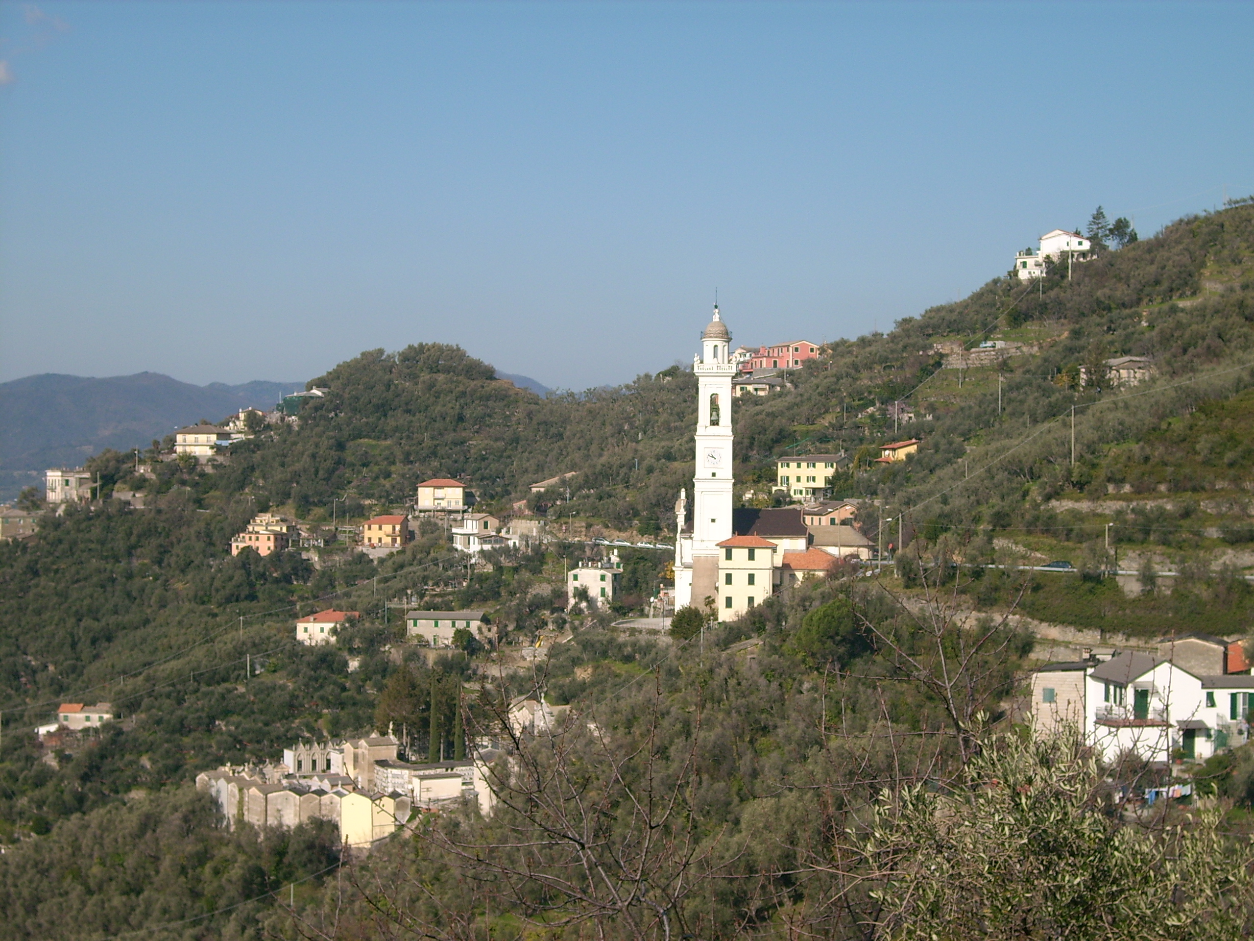 Sagra del Testaieu, da dopodomani senso unico sulla provinciale di Cogorno