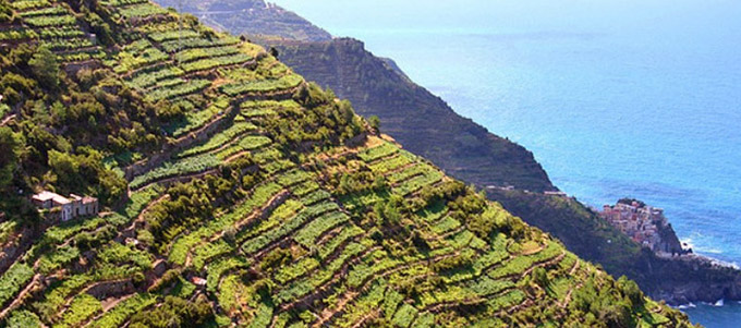 Cinque Terre, scoperto abuso: da deposito a villetta vista mare