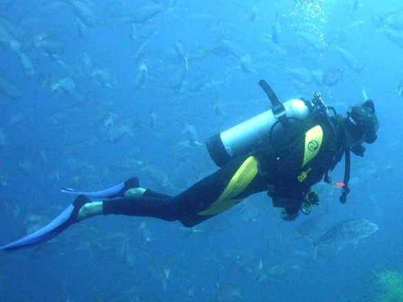 Perdono la vita tre sub che si erano immersi nel mare davanti a Grosseto