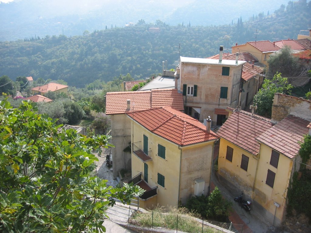 Tentano furto in villetta, la badante urla e li mette in fuga
