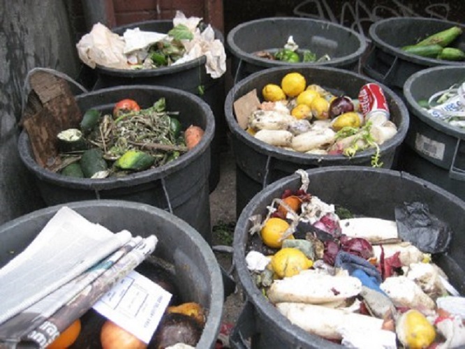 Raccolta dell'umido, a Genova scatta a inizio ottobre