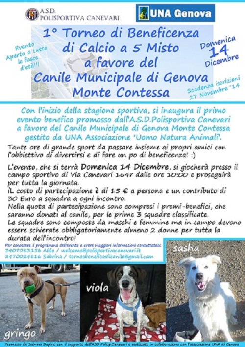 Un torneo di calcio benefico a favore del Canile di Monte Contessa