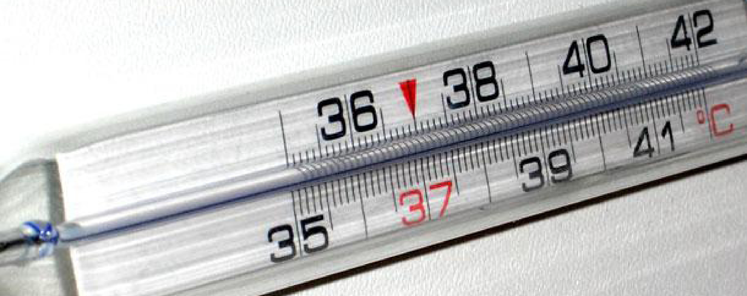 800mila italiani a letto con l'influenza, ma il picco arriva a fine gennaio 