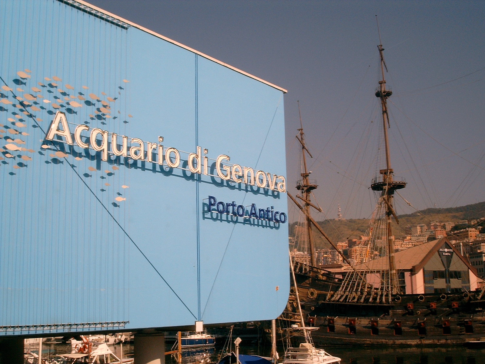 8 marzo, metà prezzo per le donne all'Acquario