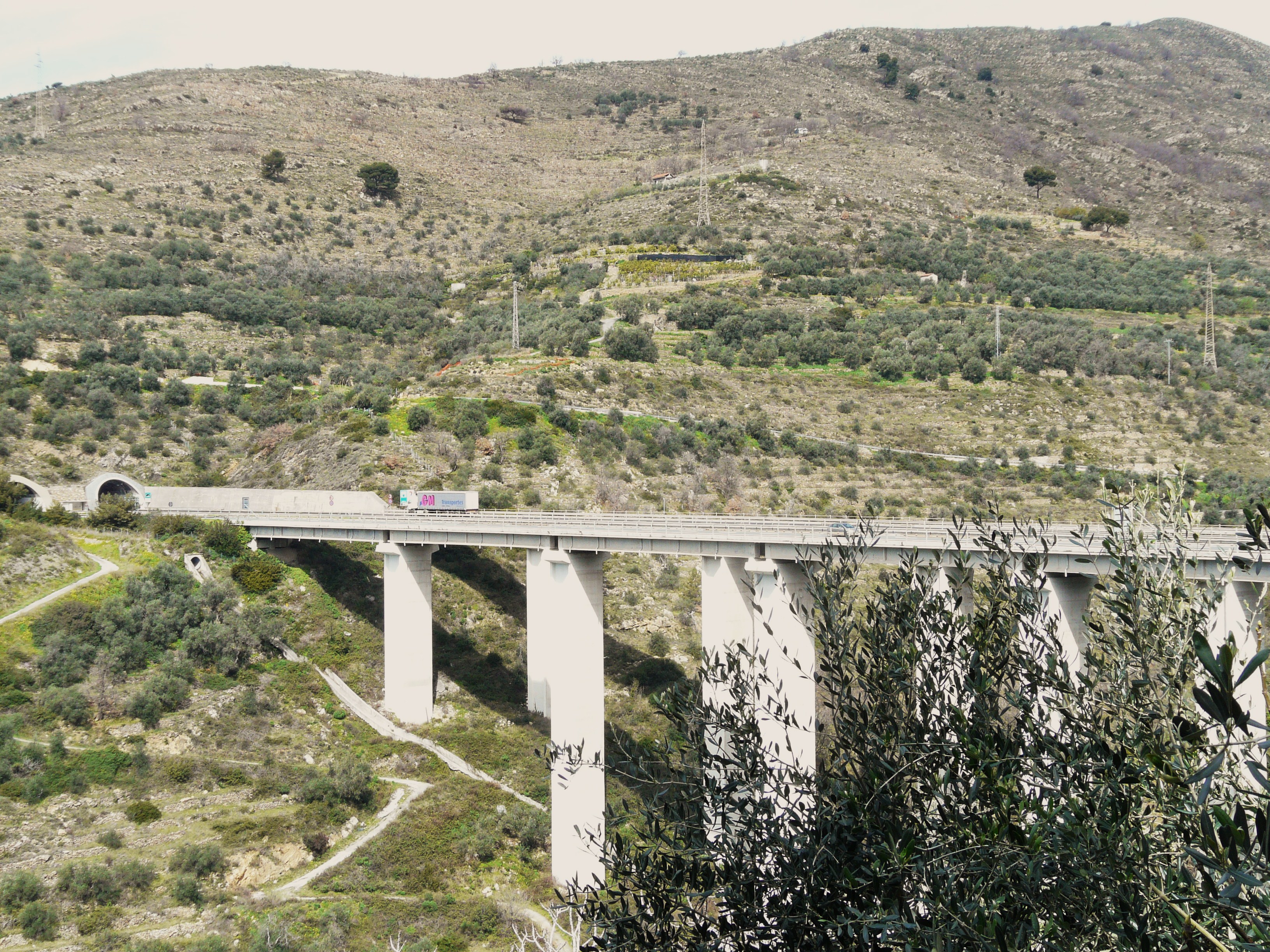 Si lancia da viadotto, vivo per miracolo