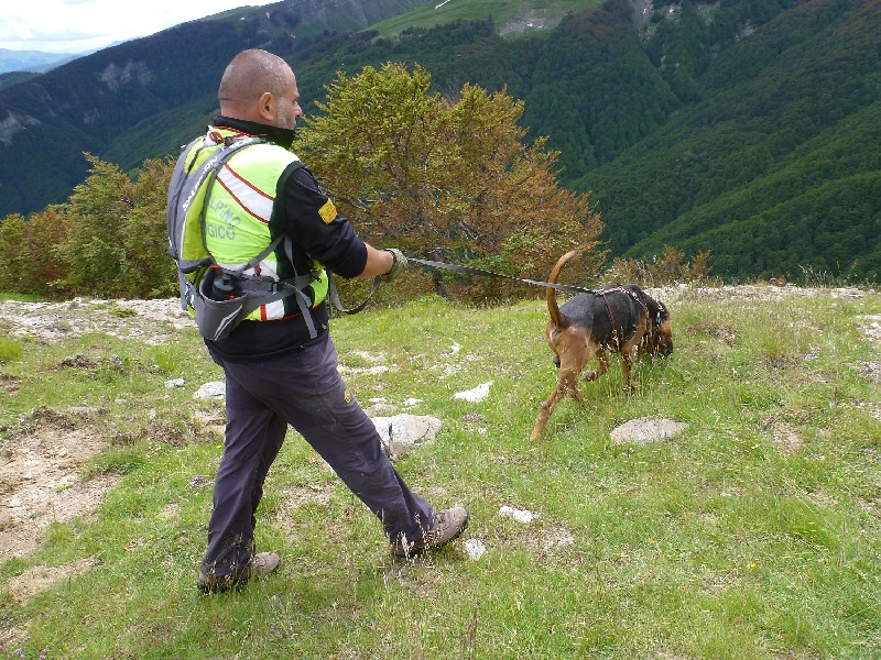 Anziano disperso da ieri, proseguono le ricerche
