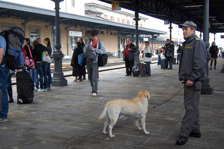 Nasconde marijuana nel trolley, scoperto da cani della Finanza a Ventimiglia