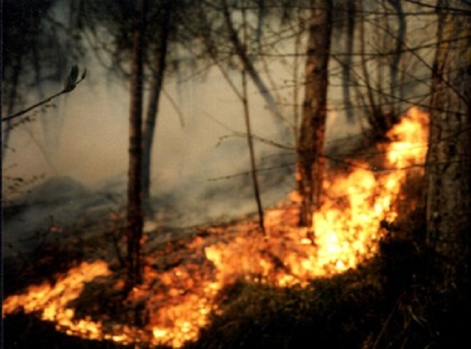 Incendi, fiamme domate a Carro; minacciavano le case