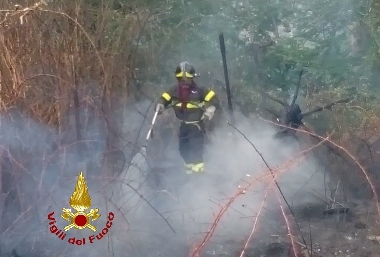 Provincia di Imperia a fuoco, boschi in fiamme a Sanremo e Badalucco
