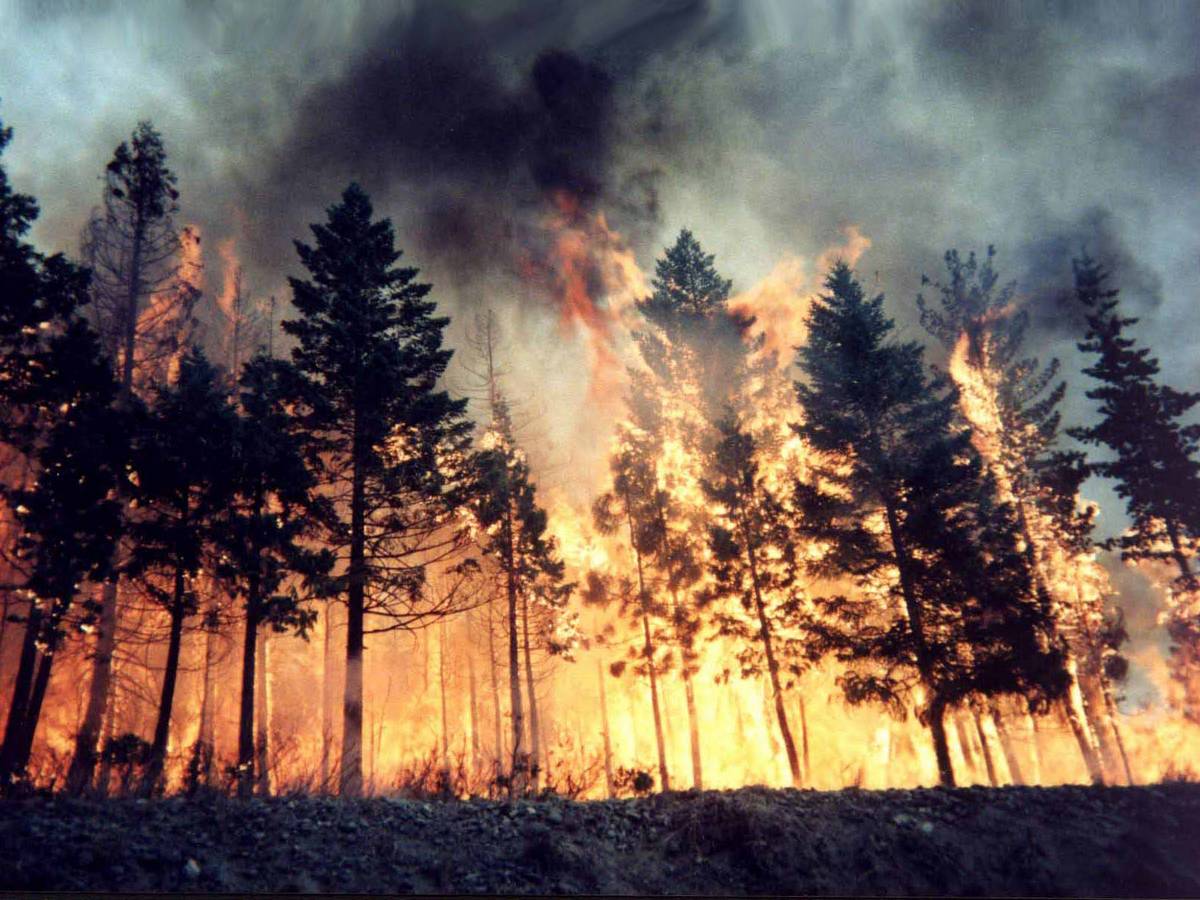 Estate record per gli incendi, +120% rispetto allo scorso anno 