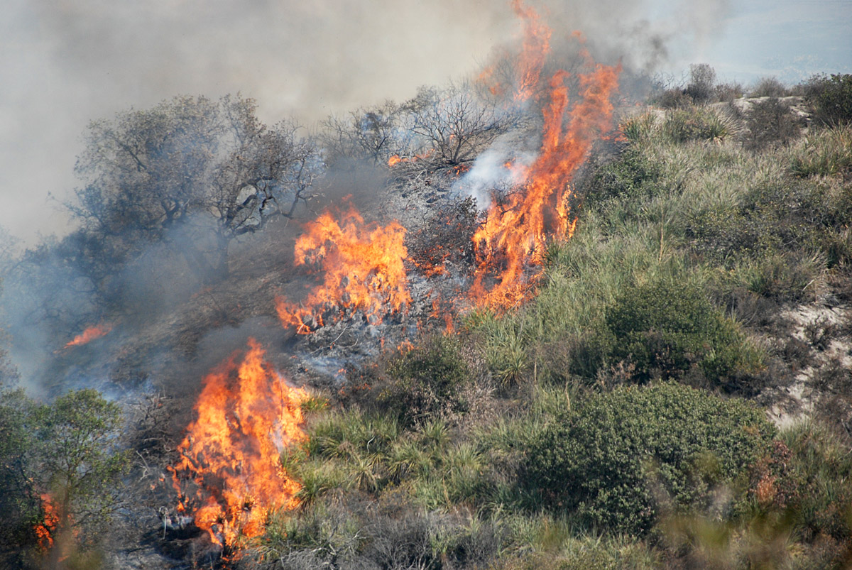 Incendio tra Pompeiana e Castellaro, tre i focolai