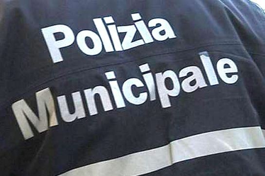 Arrestato scippatore nella zona del Porto Antico 