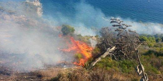 Bruciano ancora i boschi sopra Ventimiglia, domato rogo a Grimaldi