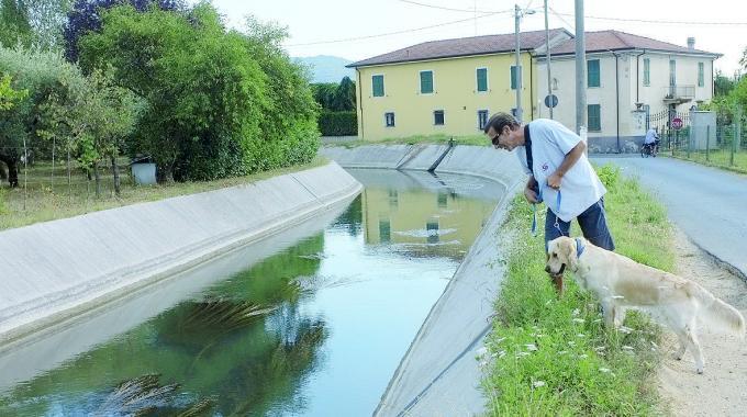 Consorzi di bonifica: la Regione: 