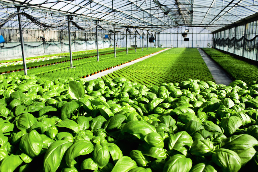 Agricoltura, oggi Toti incontra il Commissario UE