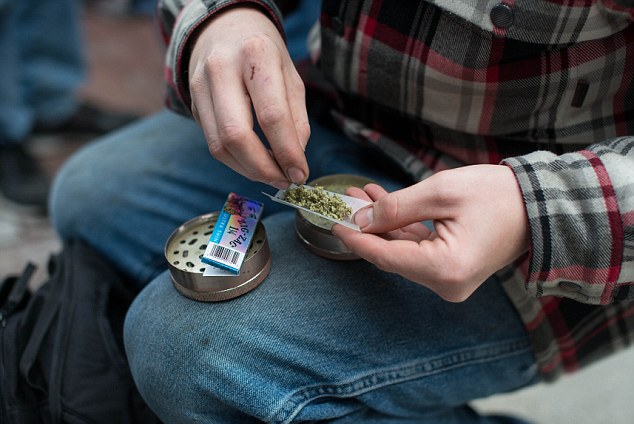 Fuma marijuana in strada, fa scoprire una piantagione 