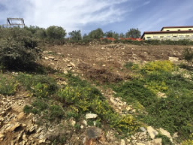 Strada abusiva in costruzione a Genova Prato scoperti della Forestale