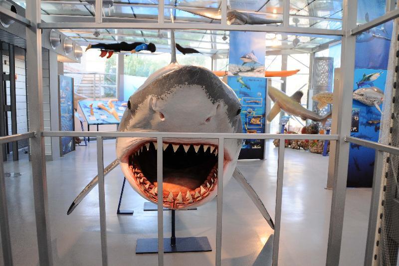 Al Museo di storia naturale 'G. Doria' tornano i laboratori per bambini