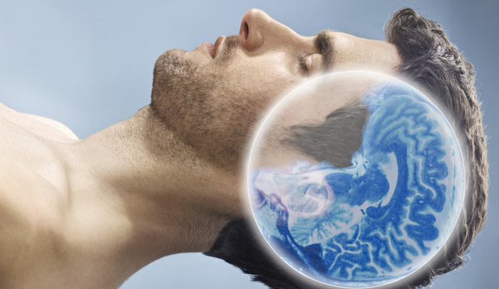 Durante il sogno il cervello guida i movimenti come se fosse sveglio
