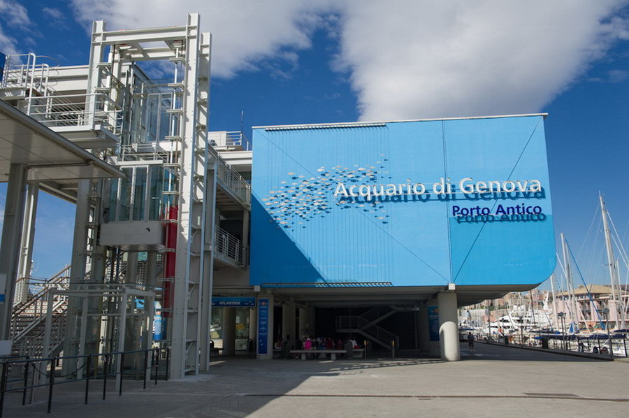 All'Acquario di Genova l'incontro 'Pescatori e pesci dell’Appennino'
