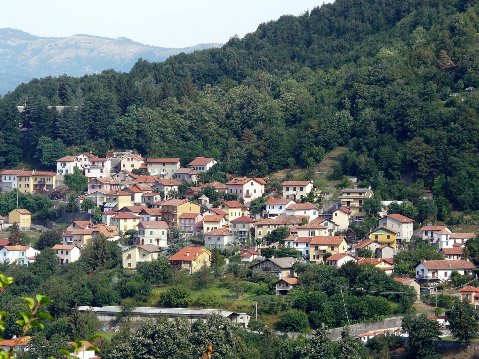 Viaggio in Liguria, i segreti degli innesti tra saggezza e tradizione