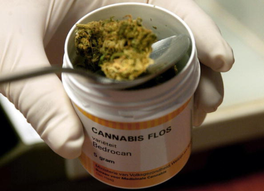 Farmaci a base di cannabis, in Liguria arriva il regolamento