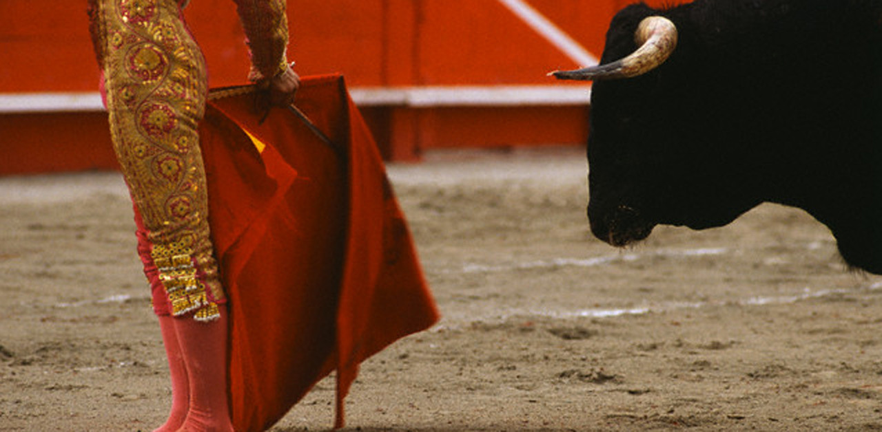 Muore torero di 29 anni incornato durante una corrida 