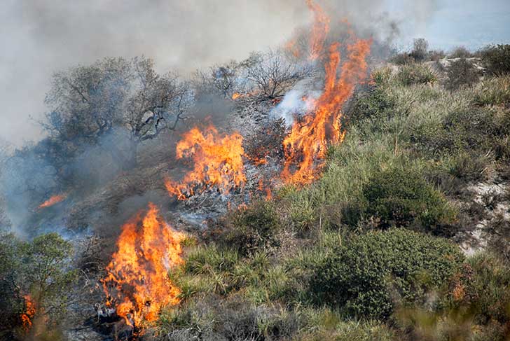 Ancora fiamme nell'entroterra sanremese, canadair in azione