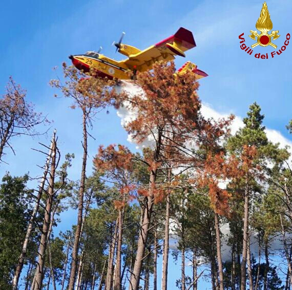 Nuovo incendio nei boschi di Varese: fiamme a Scurtabò, interviene il Canadair