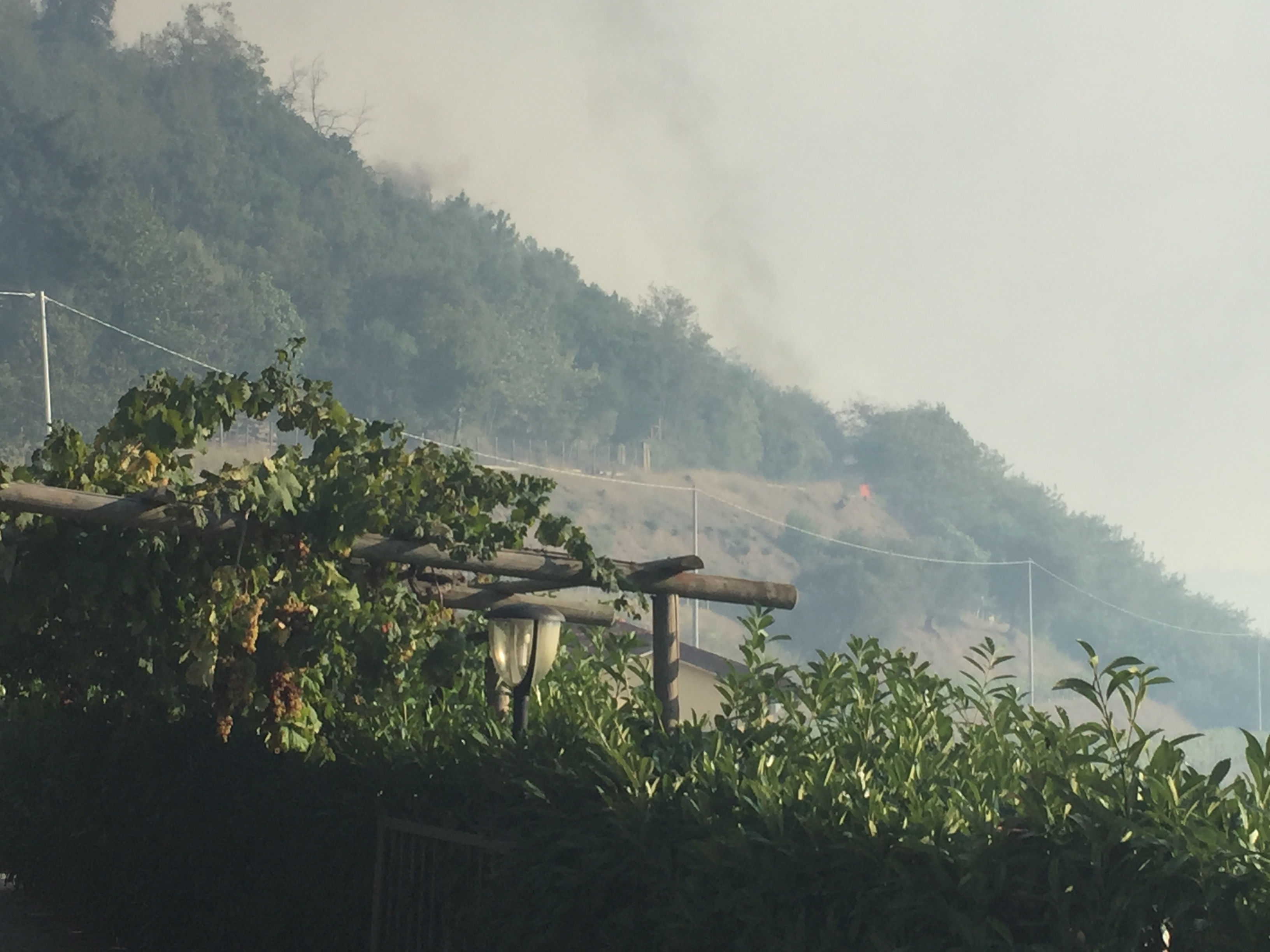 Incendi, grave bilancio nel Tigullio: centinaia di ettari in fumo e danni 