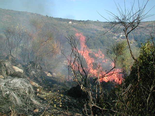 Incendio alle pendici del Monte Faudo, evacuata una casetta di legno