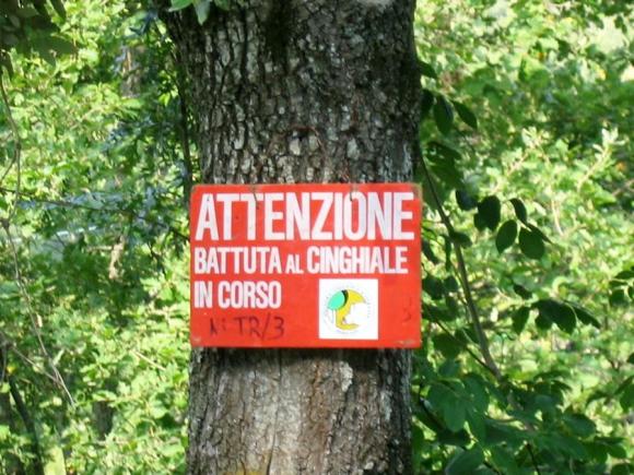 Caccia, domenica al via la stagione venatoria 