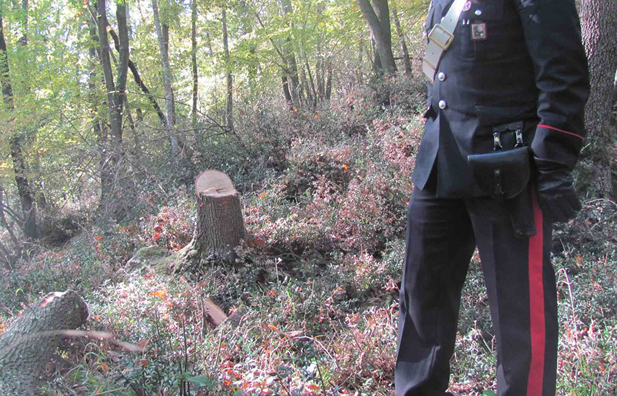 Rubano un arsenale e monili d'oro: inseguiti dai Carabinieri lasciano le armi