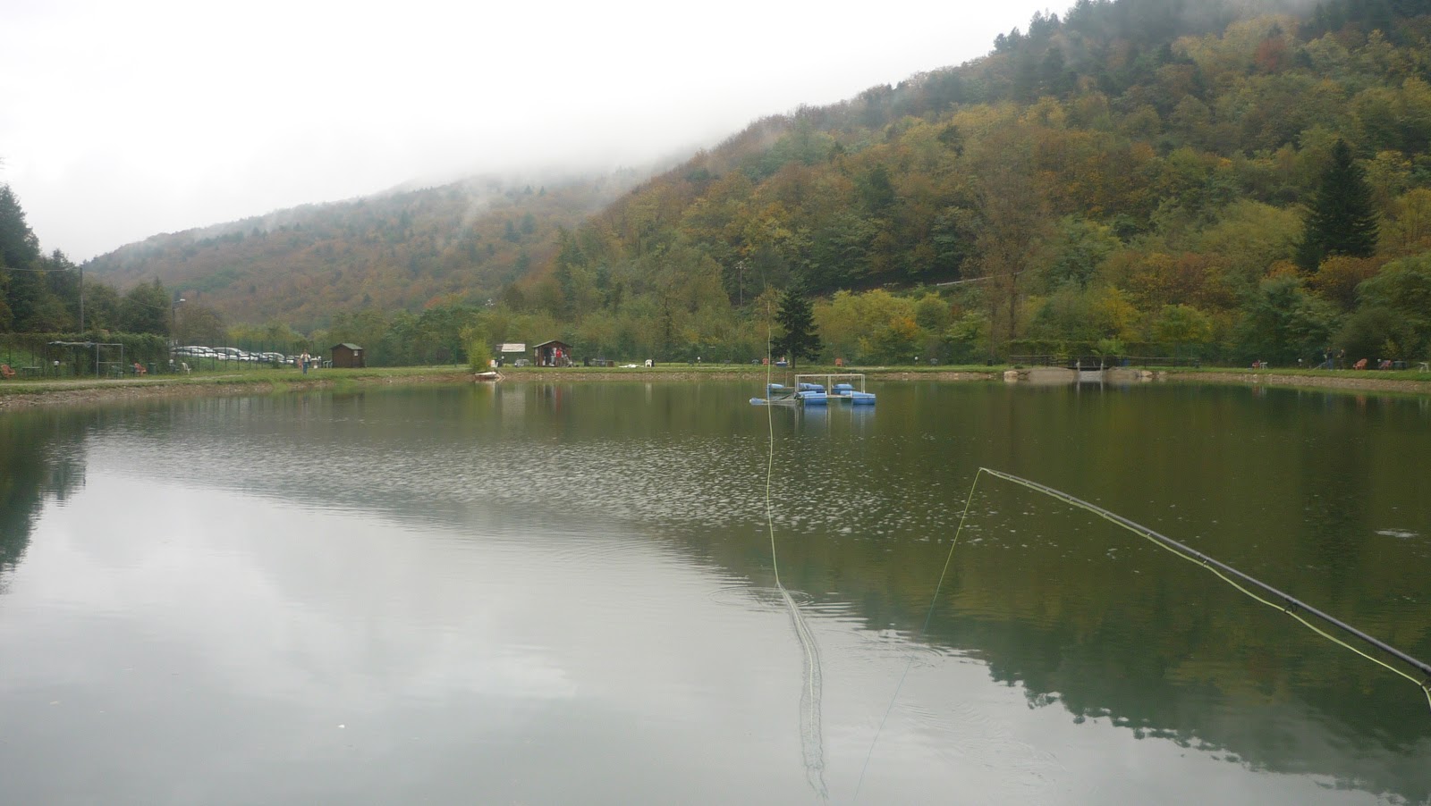 Il Lago della Romana diventa 'Lago Triste', gli animalisti: 