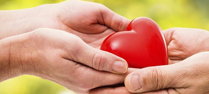 Donazione di organi, in Liguria quasi 50 mila persone disponibili