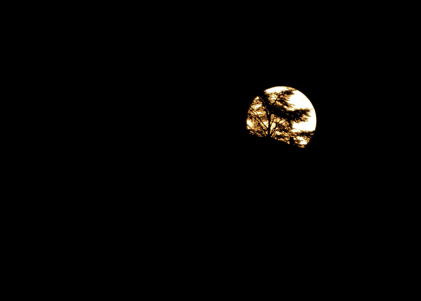 Lo spettacolo della Superluna in Liguria, manda le tue foto a Primocanale