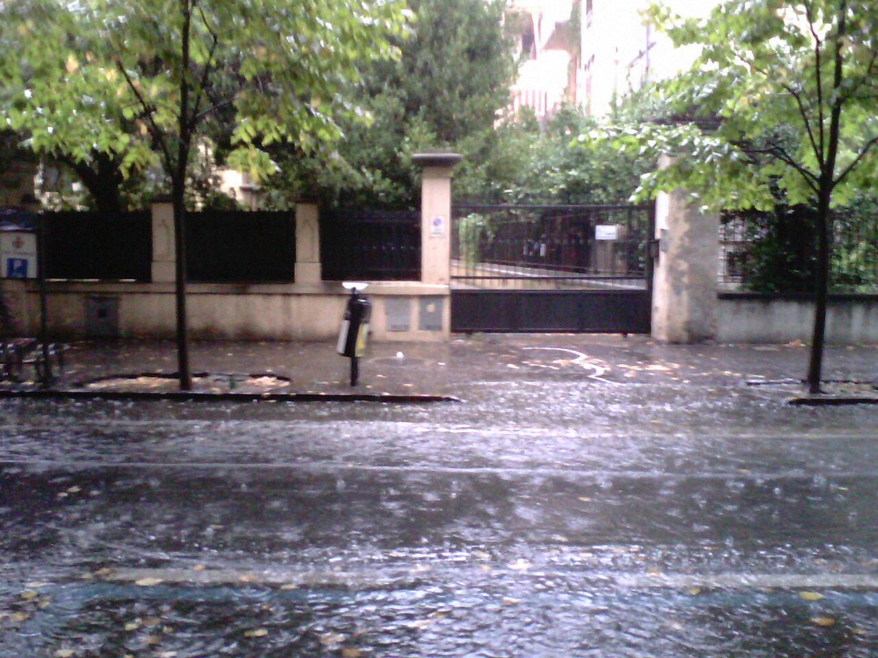 Allerta meteo rossa, scuole chiuse e disposizioni nel comune di Savona