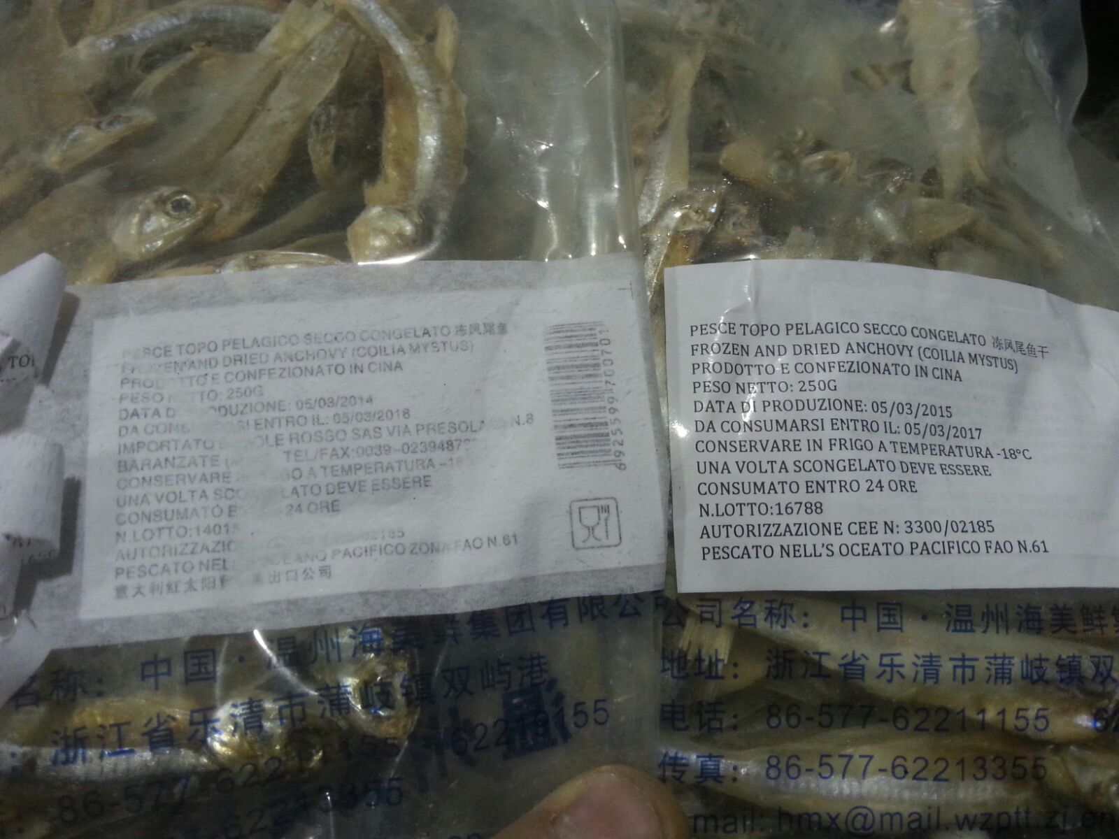 Etichette ingannevoli e pesce crudo, blitz della Capitaneria prima di Natale