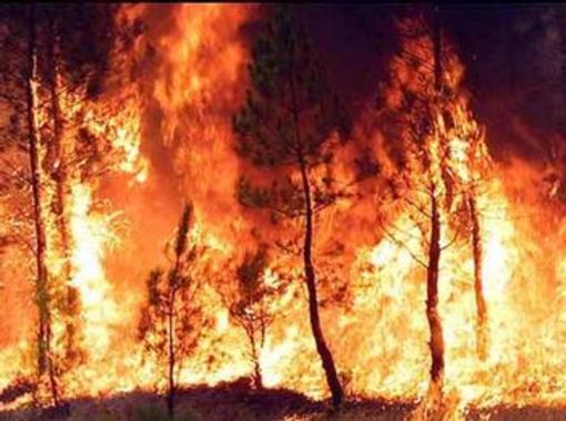 Incendio boschivo a Colle San Bartolomeo