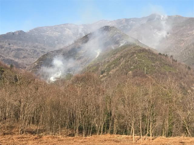 Incendi, Liguria senza tregua: fiamme nell'imperiese, a Davagna e Moconesi