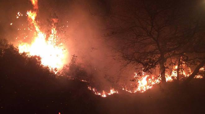 Incendi in Liguria, Ponente senza tregua: fiamme a Pieve di Teco e Carpasio